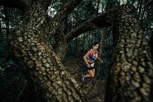 BIB: 
                            <button type="button" onclick="openModal(25682450)" class="btn btn-primary btn-sm float-right btn-popup" data-toggle="modal" data-target=".modal-high-quality">
                        <i class="fas fa-shopping-cart"></i> Add to Cart
                    </button>
                                            <button type="button" onclick="isThisMe(25682450, true)" class="btn btn-success btn-sm float-right btn-popup btn-isme hidden" data-toggle="tooltip" data-placement="bottom" title="นี่คือรูปของคุณใช่ไหม คลิกที่นี่เพื่อเอาเข้าอัลบั้ม">
                        <i class="fas fa-plus"></i> Add to album
                    </button>
                    <button type="button" onclick="isThisMe(25682450, false)" class="btn btn-warning btn-sm float-right btn-popup btn-isnotme hidden">
                        <i class="fas fa-ban"></i> Remove from album
                    </button>